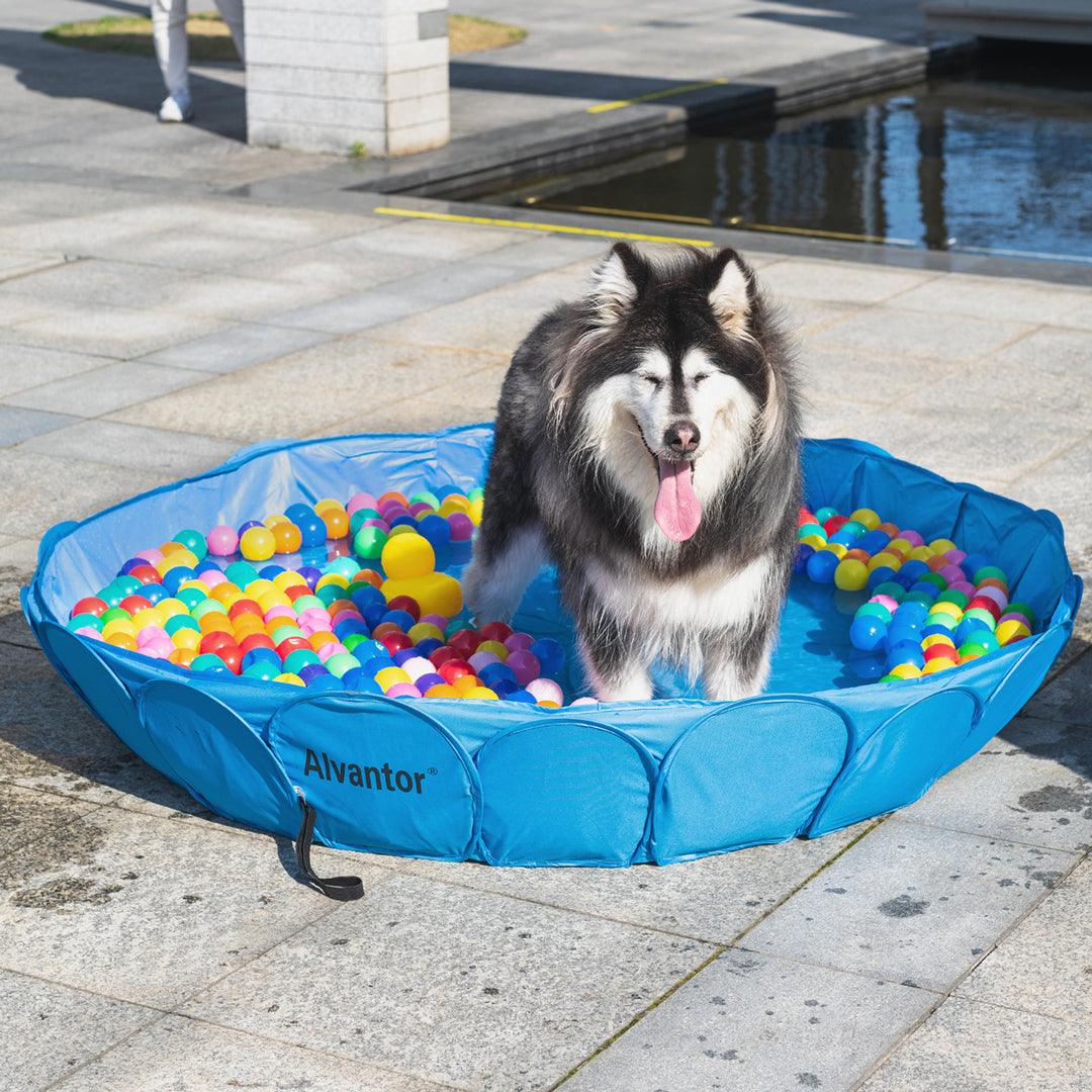 Alvantor Piscina doble para mascotas – Bañera plegable y portátil para  perros – Piscinas infantiles de plástico duro – Diversión en interiores y